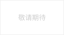 敬请期待